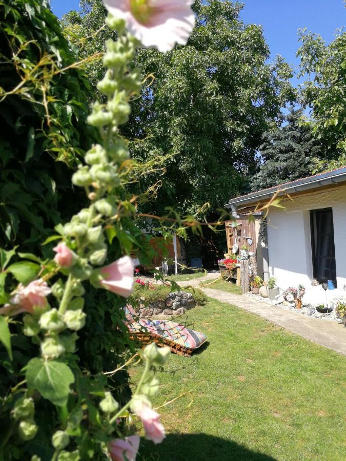 Bungalow Bei Warnemuende 奥门豪斯特 外观 照片